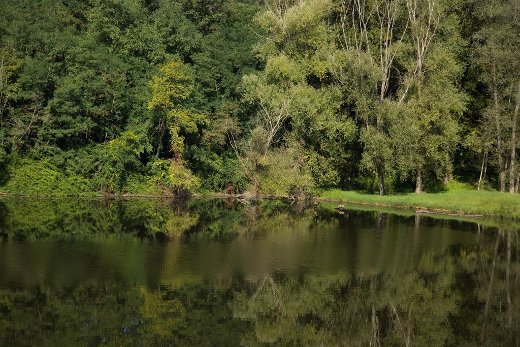 Hotel Del Lago Cavriglia Kültér fotó